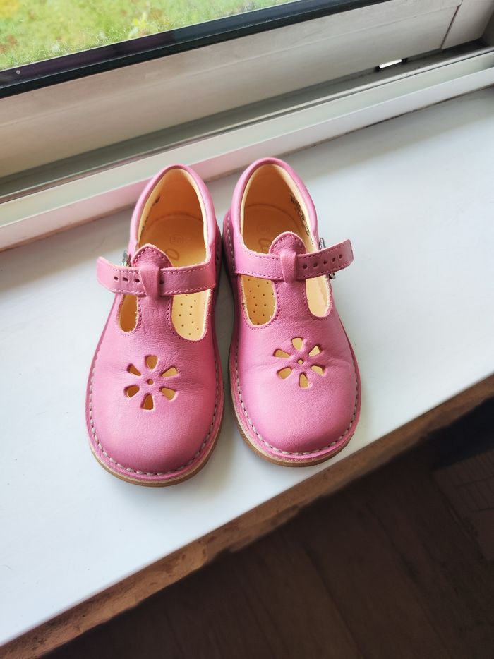Aster taille 30