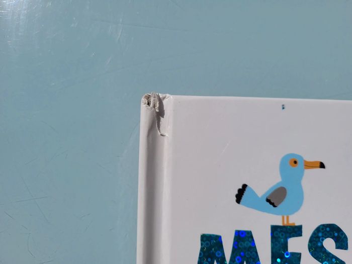 Beau livre animé 🦀 Mes animaux des mers 🐬 à toucher 🦐 Milan Jeunesse (72) - photo numéro 4