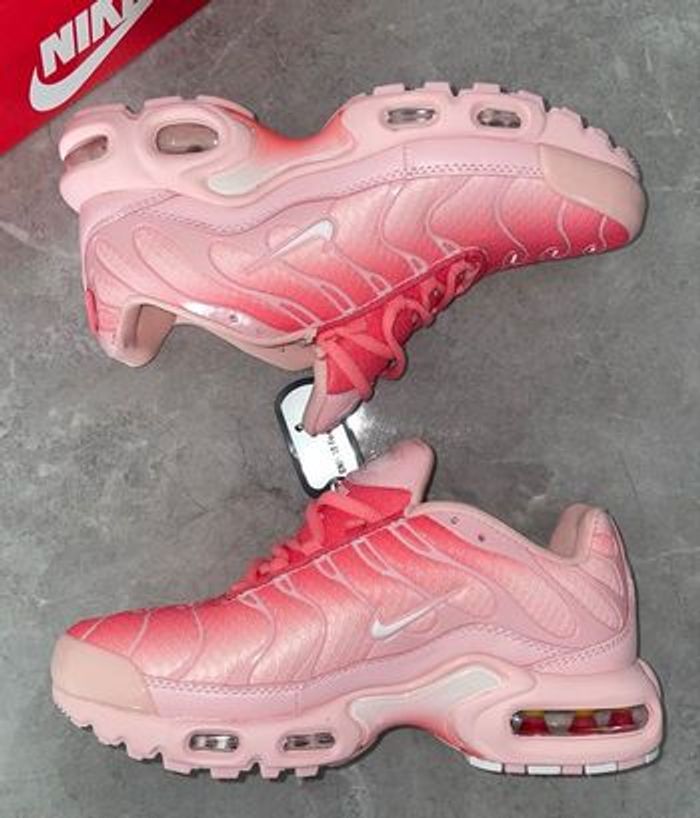 Nike Tn rose atlanta 44