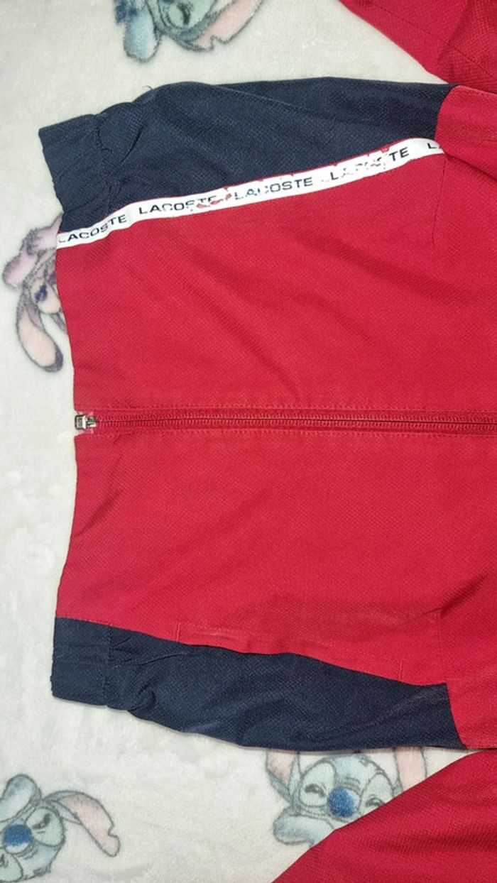 Veste lacoste 6 ans en bon état - photo numéro 6