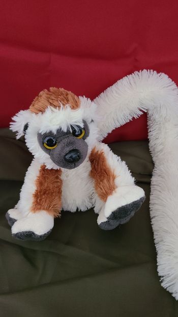 Peluche Sifaka à longue queue