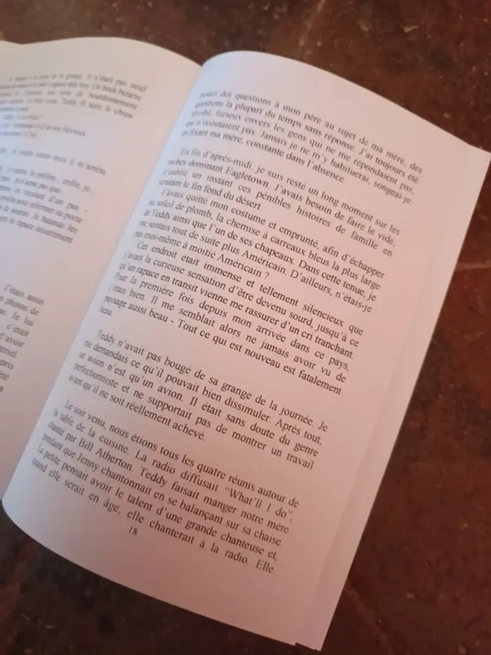 Livre le secret du Sunbird - photo numéro 4