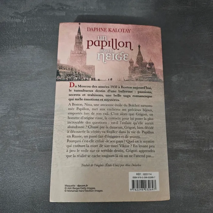 Livre un papillon sous la neige - photo numéro 2