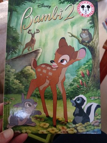 Collection Livre Disney