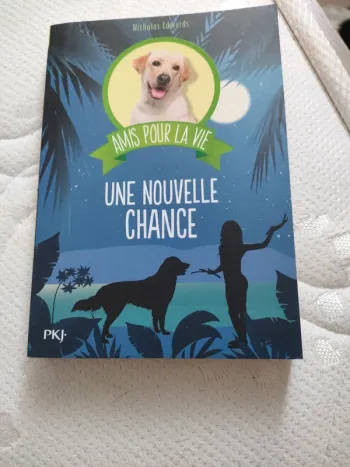Livre une nouvelle chance