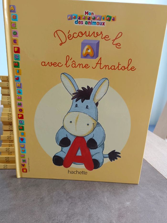 Lot de 25 livres abécédaires - photo numéro 2