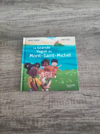 Livre "La grande vague du Mont Saint Michel"