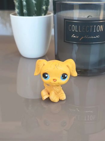 Littlest Pet Shop #21 yellow golden retriever pup dog