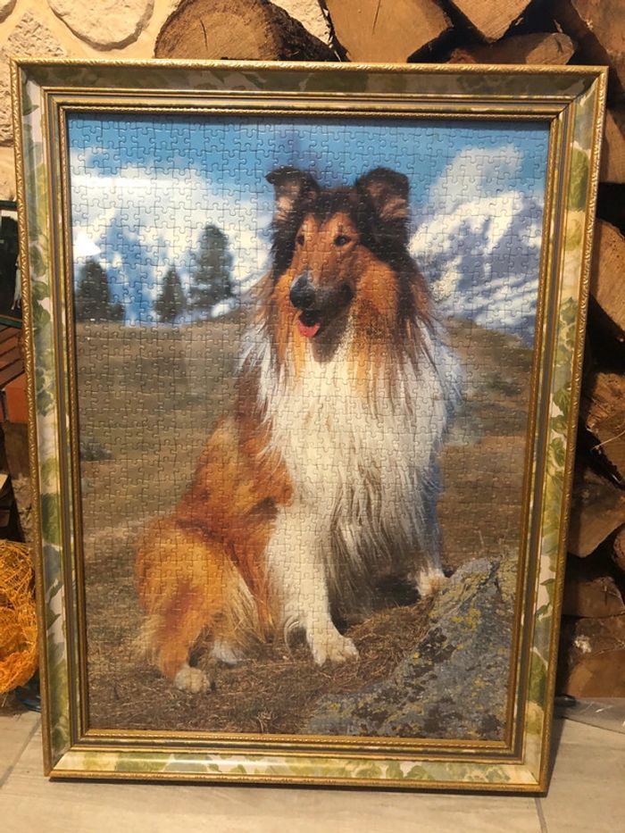 Puzzle chien colley