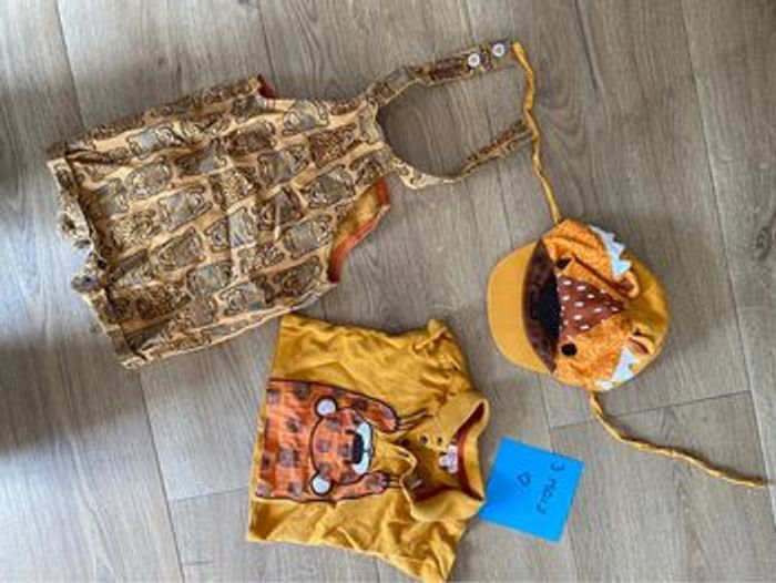 Adorable ensemble complet tigre DPAM - photo numéro 2