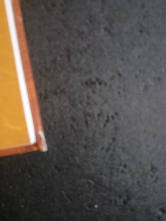 Bd le trésor du temple 1,EO - photo numéro 2