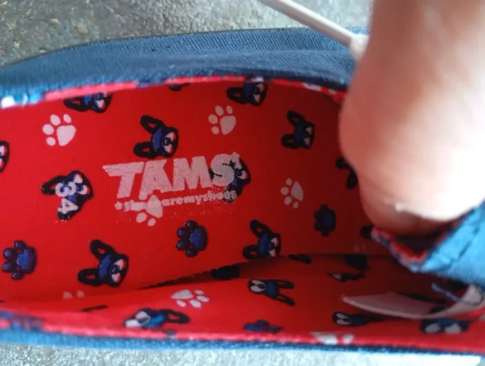 Tams chaussures neuves p.24 - photo numéro 4