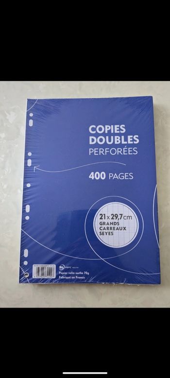 Lot de 400 copies doubles perforées grands carreaux. Taille : 21 x29,7 cm