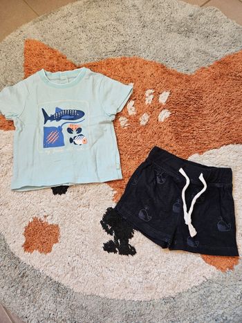 Ensemble baleine - 3mois 