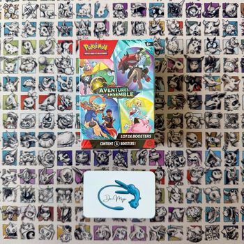 Bundle Pokémon EV9 Aventures Ensemble 