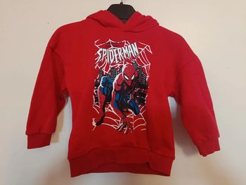 Sweat à capuche