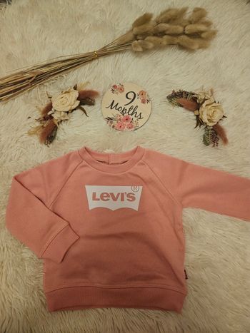 Pull Levi's 🌸