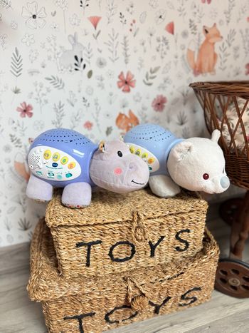 Lot de 2 veilleuses Vtech 