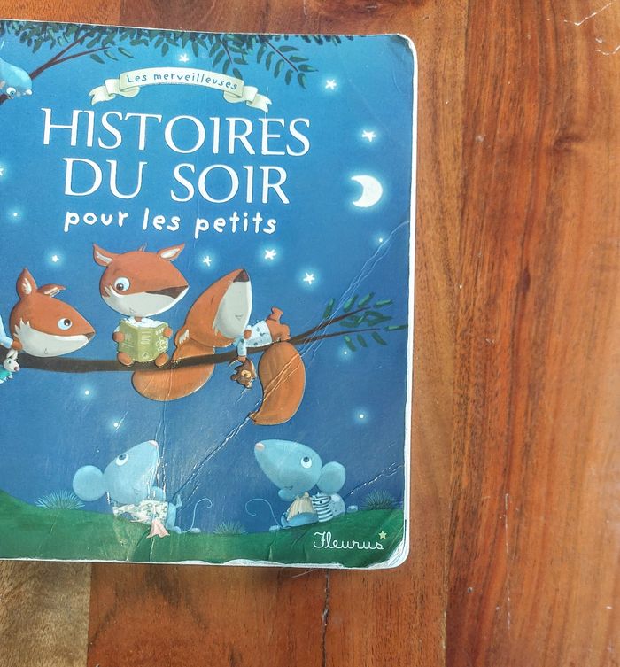 Lot de 2 gros livres "Histoires Du Soir pour les petits " - photo numéro 7