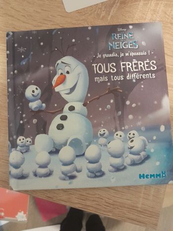 Livre reines des neiges