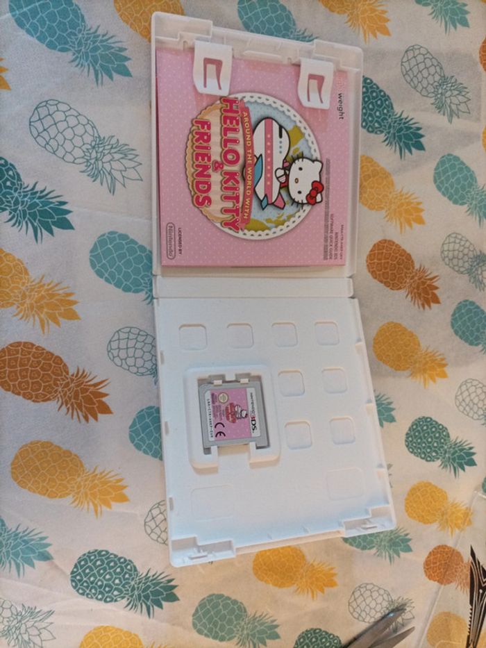 Le tour du monde avec Hello Kitty et ses amis Ds - photo numéro 3