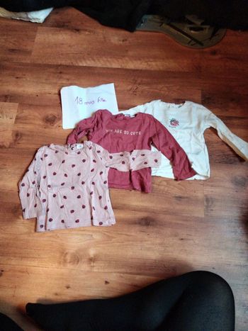Lot tee-shirts fraises