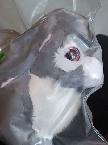 Peluche lapin 