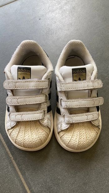 Adidas superstar