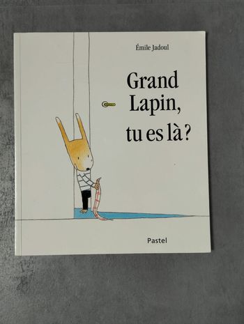 Livre Grand lapin, tu es là ?/ 3-5 ans