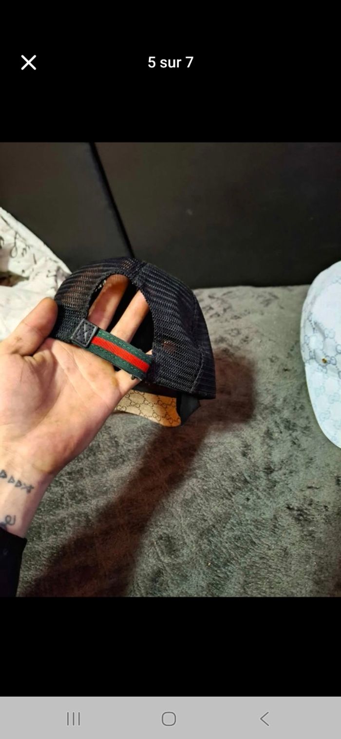 Tigre - photo numéro 5