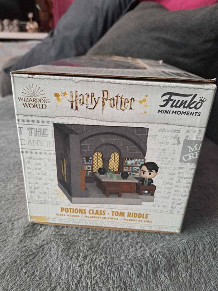 Potions class tom riddle - photo numéro 4