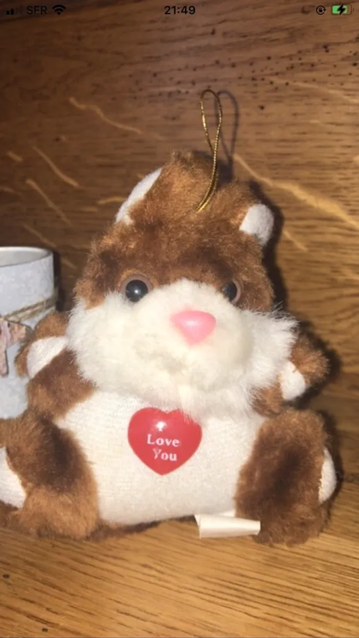 Peluche - photo numéro 3