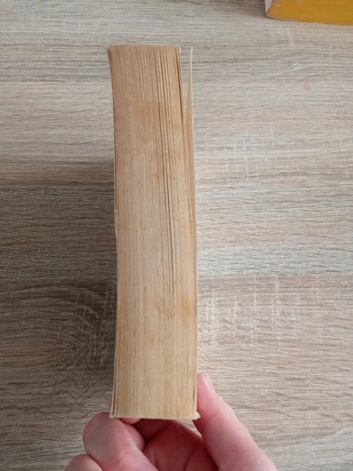 L'assommoir - Émile Zola - photo numéro 4