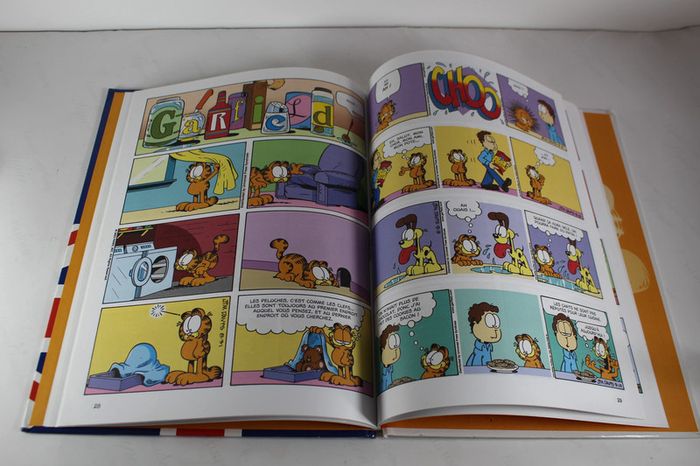 Dargaud Garfield Le King 2009 - photo numéro 6