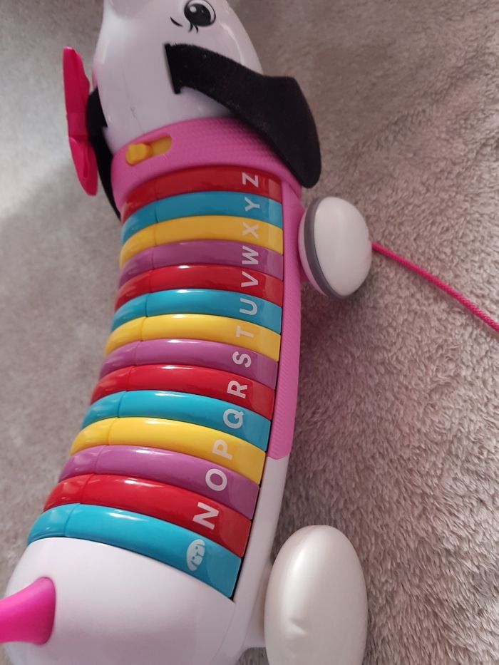 Chien traîneau - photo numéro 2