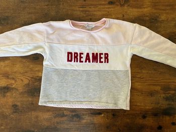 Sweat « Dreamer » rose gris et blanc