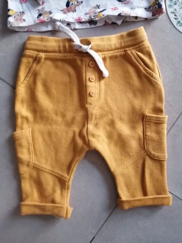 Ensemble pantalon t-shirt chien 6 mois - photo numéro 2