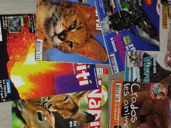 Lot de 7 magazines Wapiti année 2010-11-12-13 L028  7586988326 - photo numéro 8