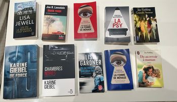 Lot de 11 livres romans thrillers en très bon état auteur Karine giebel, Lisa gardner etc