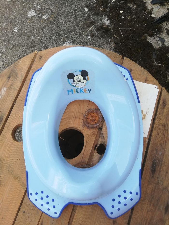 Siège pour toilette mickey in