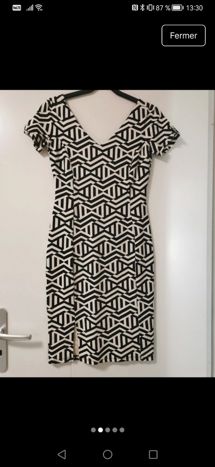 Robe L - photo numéro 2