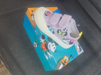 Basket minnie