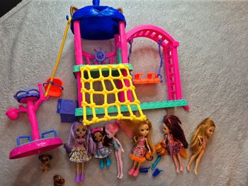 Lot poupée Enchantimals