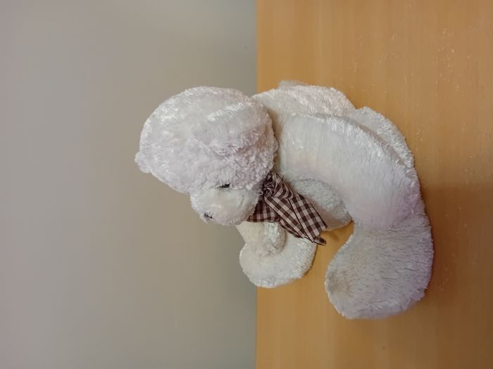 ours en peluche Tiamo - photo numéro 2