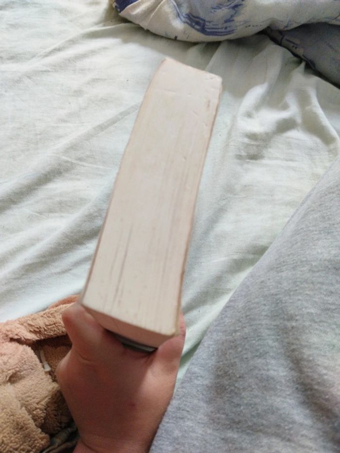 L'amulette de samarcande - photo numéro 6