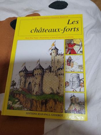 Les châteaux forts