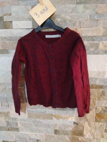 Gilet bordeaux et marine