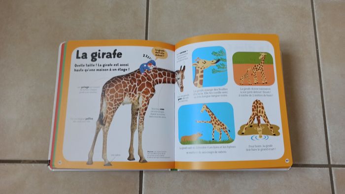 Livre Dokéo mon livre des animaux - photo numéro 5