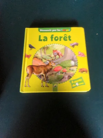Découvrir par les images