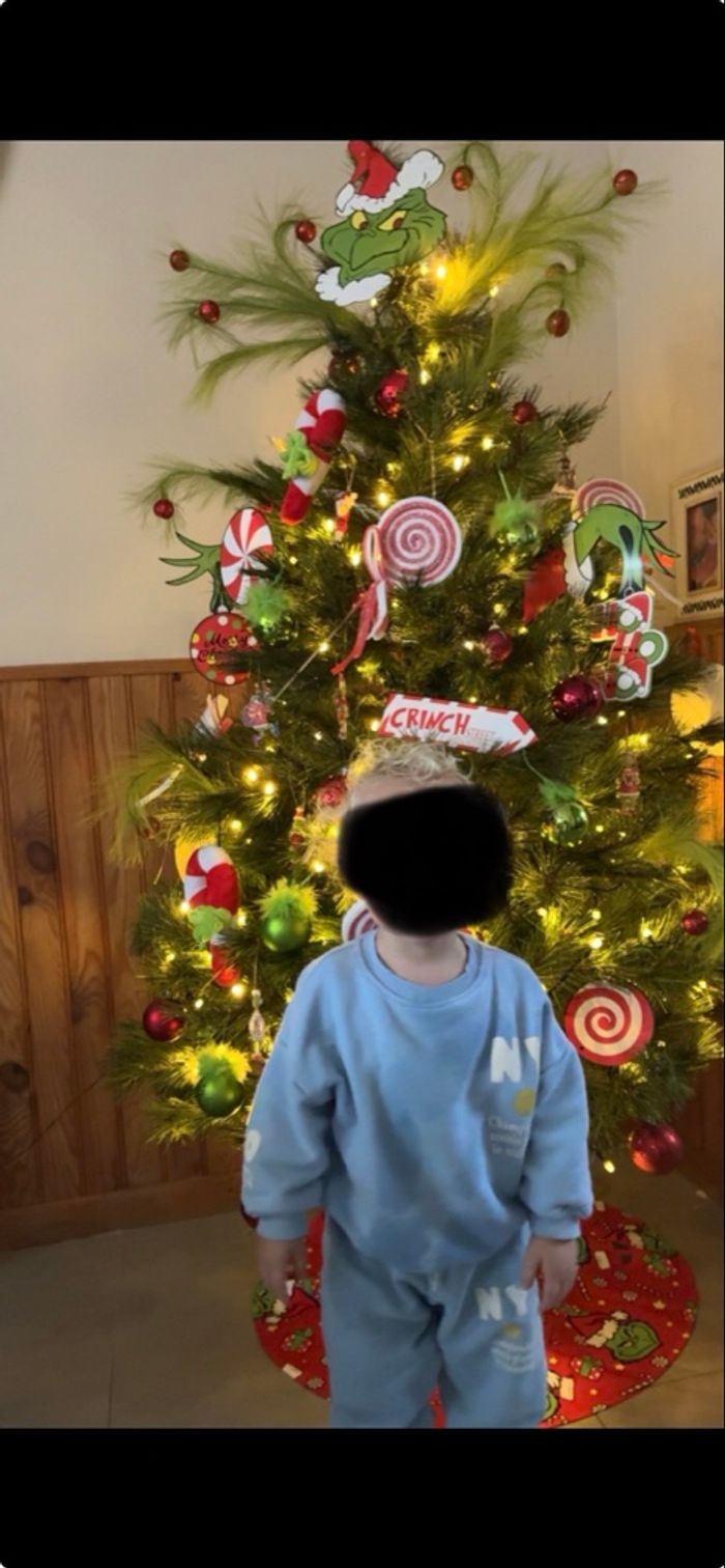 Lots deco grinch - photo numéro 9